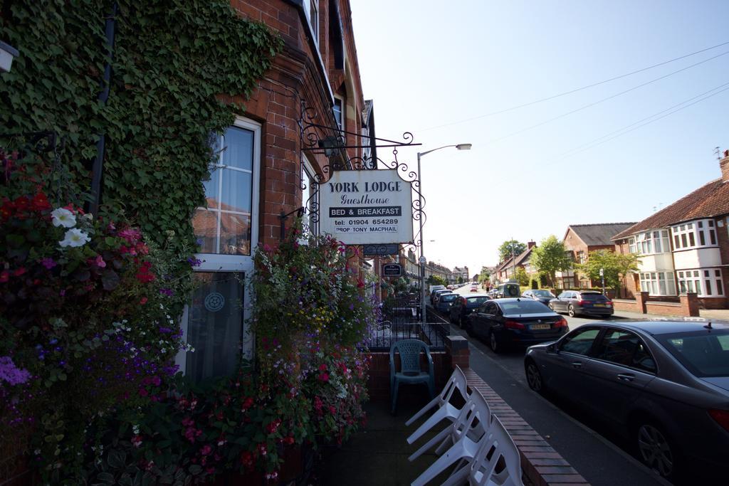 York Lodge Guesthouse Luaran gambar